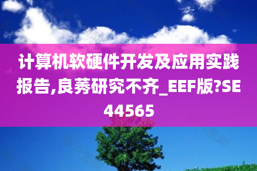 计算机软硬件开发及应用实践报告,良莠研究不齐_EEF版?SE44565