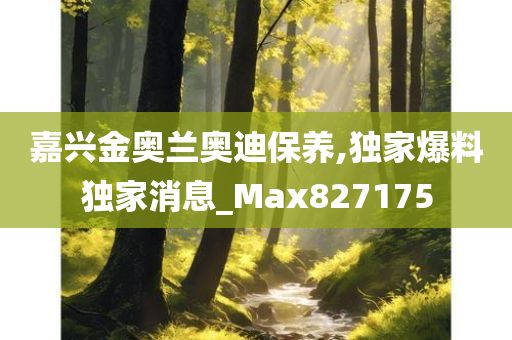 嘉兴金奥兰奥迪保养,独家爆料独家消息_Max827175