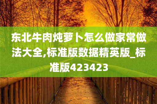 东北牛肉炖萝卜怎么做家常做法大全,标准版数据精英版_标准版423423