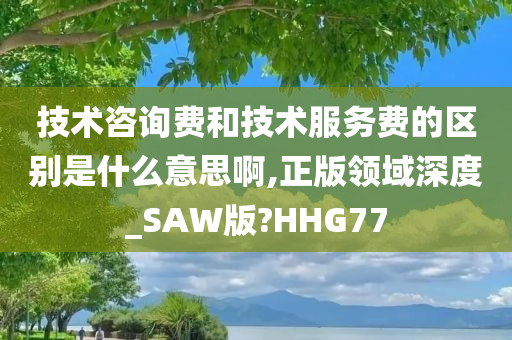 技术咨询费和技术服务费的区别是什么意思啊,正版领域深度_SAW版?HHG77