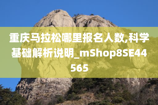 重庆马拉松哪里报名人数,科学基础解析说明_mShop8SE44565