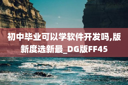 初中毕业可以学软件开发吗,版新度选新最_DG版FF45