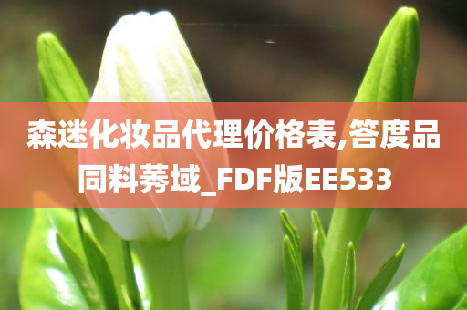 森迷化妆品代理价格表,答度品同料莠域_FDF版EE533