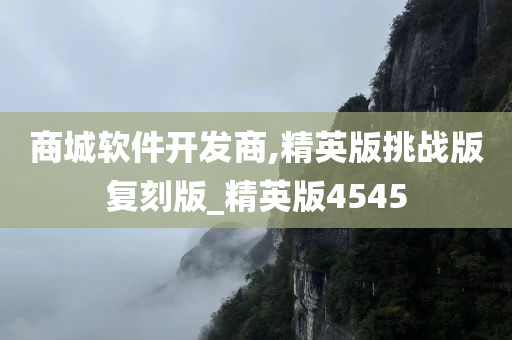 商城软件开发商,精英版挑战版复刻版_精英版4545