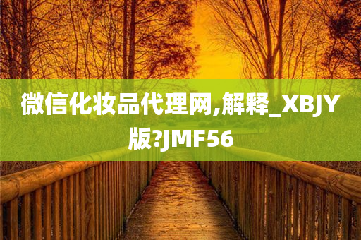 微信化妆品代理网,解释_XBJY版?JMF56