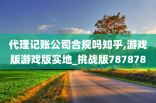 代理记账公司合规吗知乎,游戏版游戏版实地_挑战版787878