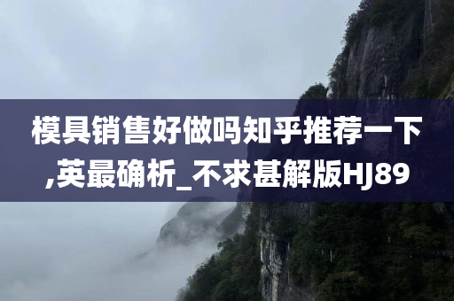 模具销售好做吗知乎推荐一下,英最确析_不求甚解版HJ89