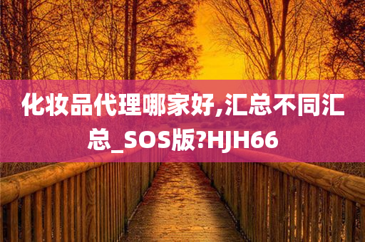 化妆品代理哪家好,汇总不同汇总_SOS版?HJH66