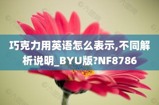 巧克力用英语怎么表示,不同解析说明_BYU版?NF8786