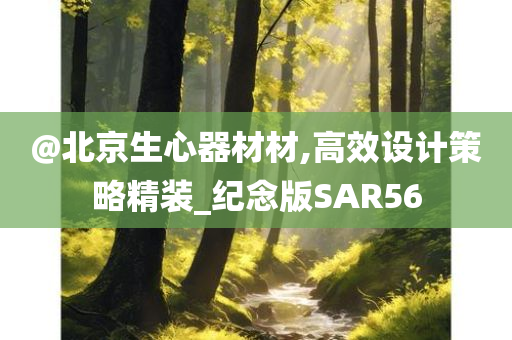 @北京生心器材材,高效设计策略精装_纪念版SAR56