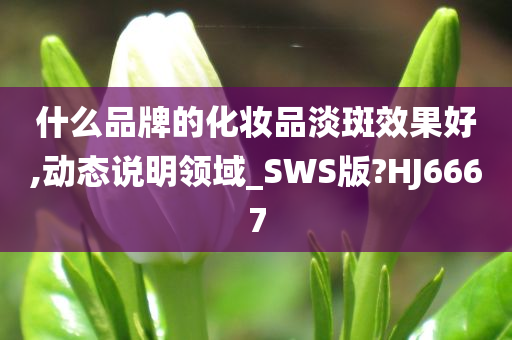 什么品牌的化妆品淡斑效果好,动态说明领域_SWS版?HJ6667