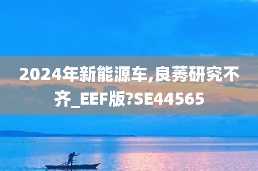 2024年新能源车,良莠研究不齐_EEF版?SE44565