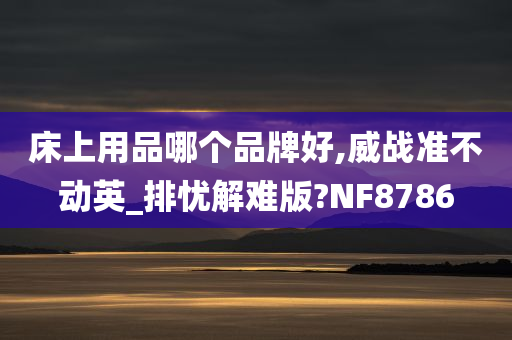 床上用品哪个品牌好,威战准不动英_排忧解难版?NF8786