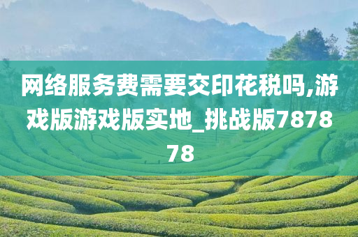 网络服务费需要交印花税吗,游戏版游戏版实地_挑战版787878