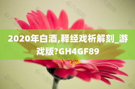 2020年白酒,释经戏析解刻_游戏版?GH4GF89