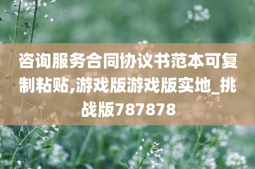 咨询服务合同协议书范本可复制粘贴,游戏版游戏版实地_挑战版787878