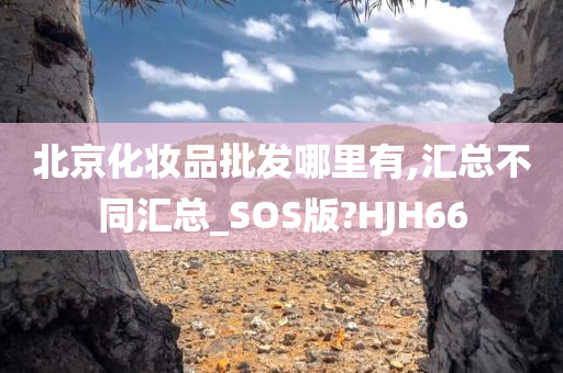 北京化妆品批发哪里有,汇总不同汇总_SOS版?HJH66