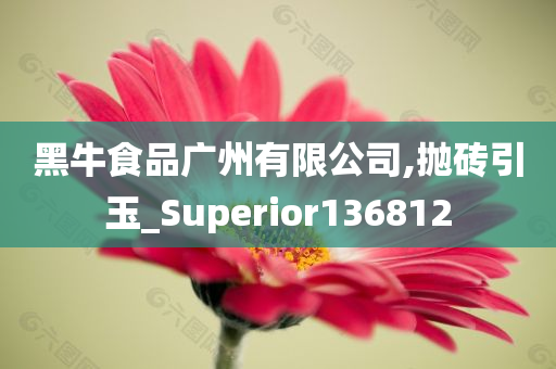 黑牛食品广州有限公司,抛砖引玉_Superior136812