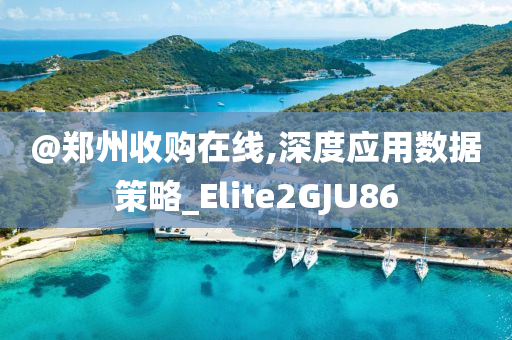 @郑州收购在线,深度应用数据策略_Elite2GJU86