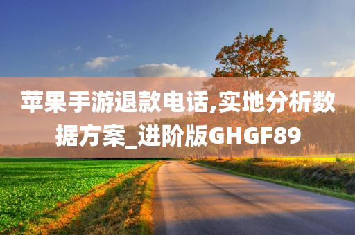 苹果手游退款电话,实地分析数据方案_进阶版GHGF89