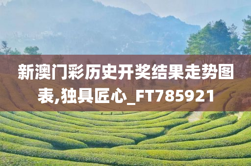 新澳门彩历史开奖结果走势图表,独具匠心_FT785921