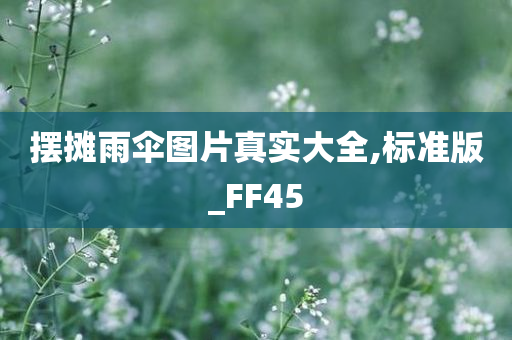 摆摊雨伞图片真实大全,标准版_FF45