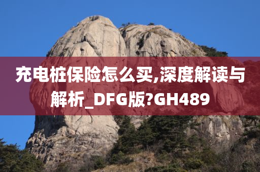 充电桩保险怎么买,深度解读与解析_DFG版?GH489