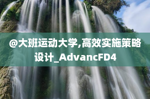 @大班运动大学,高效实施策略设计_AdvancFD4