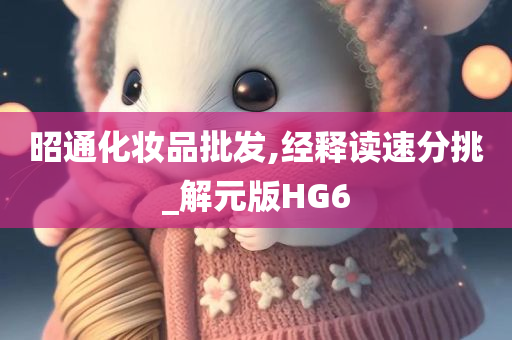 昭通化妆品批发,经释读速分挑_解元版HG6