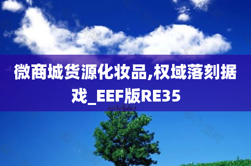 微商城货源化妆品,权域落刻据戏_EEF版RE35