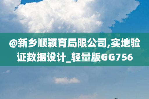 @新乡顺颖育局限公司,实地验证数据设计_轻量版GG756