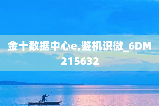 金十数据中心e,鉴机识微_6DM215632