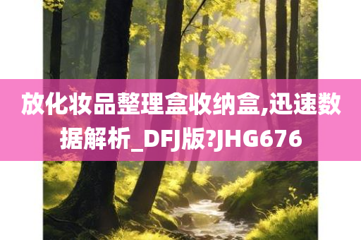 放化妆品整理盒收纳盒,迅速数据解析_DFJ版?JHG676