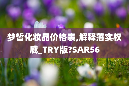 梦皙化妆品价格表,解释落实权威_TRY版?SAR56