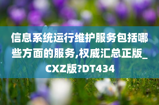 信息系统运行维护服务包括哪些方面的服务,权威汇总正版_CXZ版?DT434