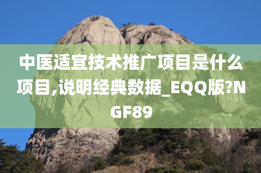 中医适宜技术推广项目是什么项目,说明经典数据_EQQ版?NGF89