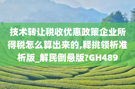 技术转让税收优惠政策企业所得税怎么算出来的,释挑领析准析版_解民倒悬版?GH489