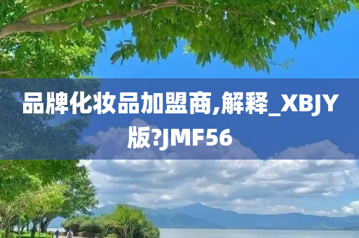 品牌化妆品加盟商,解释_XBJY版?JMF56