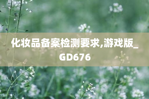 化妆品备案检测要求,游戏版_GD676