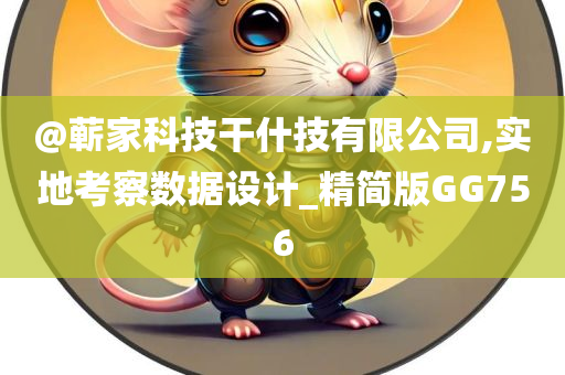 @蕲家科技干什技有限公司,实地考察数据设计_精简版GG756