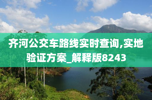 齐河公交车路线实时查询,实地验证方案_解释版8243