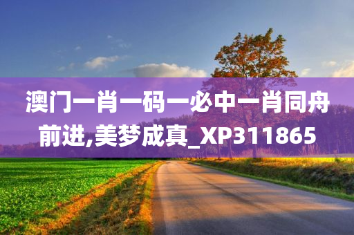 澳门一肖一码一必中一肖同舟前进,美梦成真_XP311865