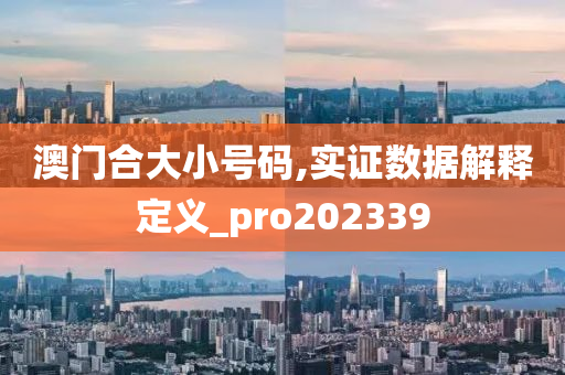 澳门合大小号码,实证数据解释定义_pro202339