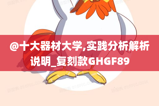 @十大器材大学,实践分析解析说明_复刻款GHGF89