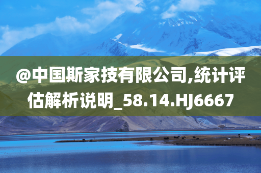 @中国斯家技有限公司,统计评估解析说明_58.14.HJ6667