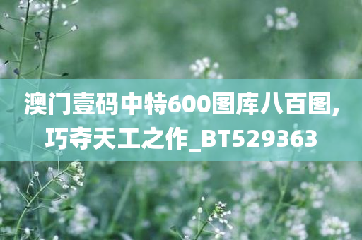 澳门壹码中特600图库八百图,巧夺天工之作_BT529363