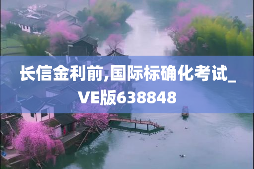 长信金利前,国际标确化考试_VE版638848