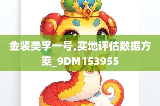 金装美孚一号,实地评估数据方案_9DM153955