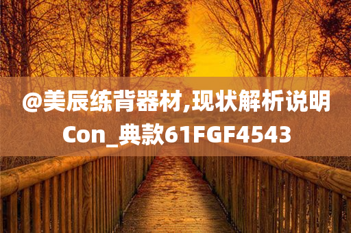 @美辰练背器材,现状解析说明Con_典款61FGF4543