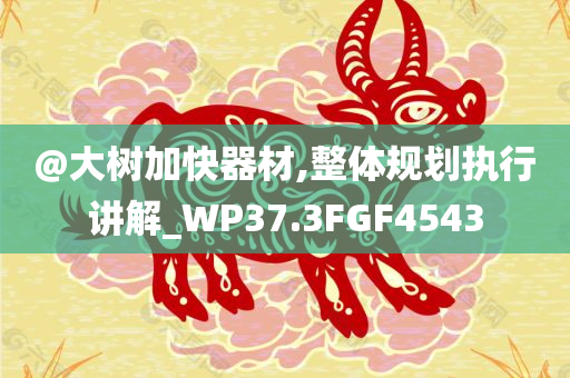 @大树加快器材,整体规划执行讲解_WP37.3FGF4543